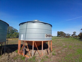 Field bin3